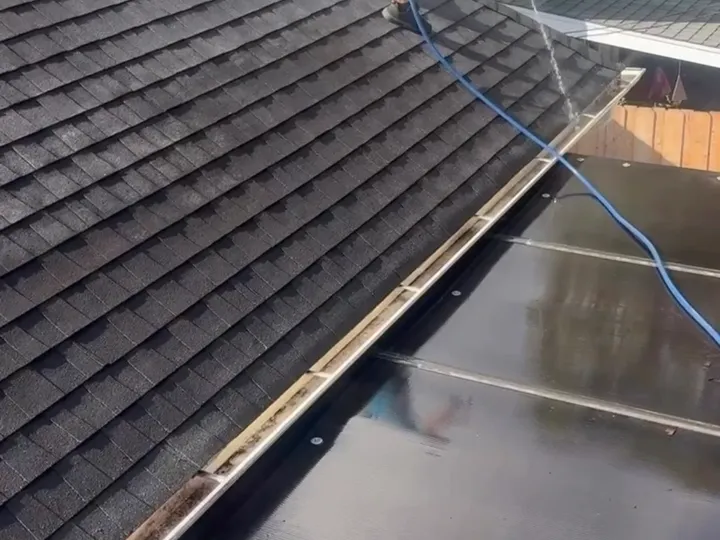 Gutter Cleaning