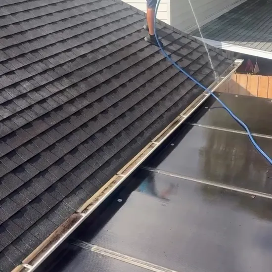 Gutter Cleaning