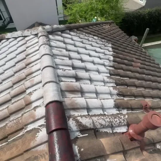 Roof washing soft wash process on a Houston tile roof