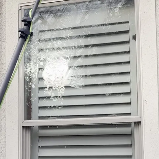 Water-fed pole brush cleaning a residential exterior window